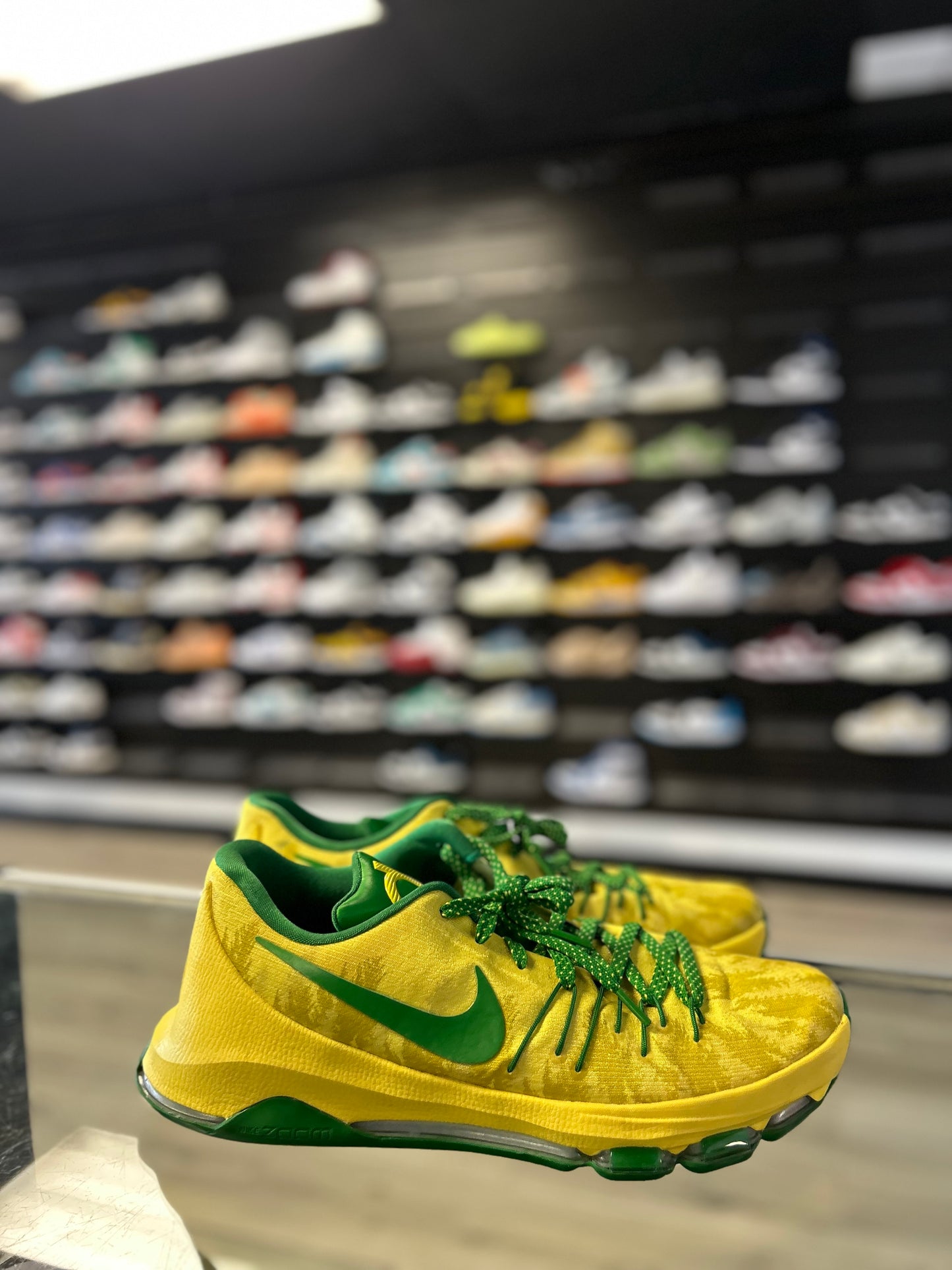 KD 8 SAMPLE 'OREGON PE' (USED)