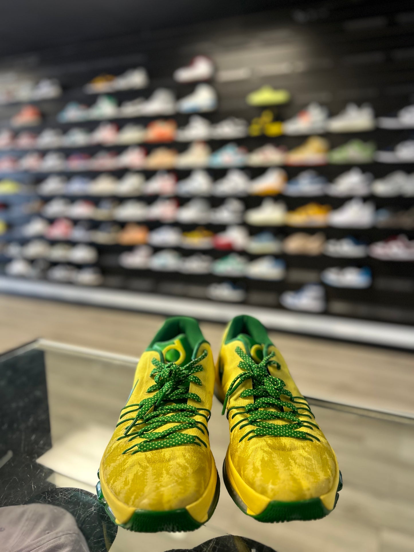 KD 8 SAMPLE 'OREGON PE' (USED)